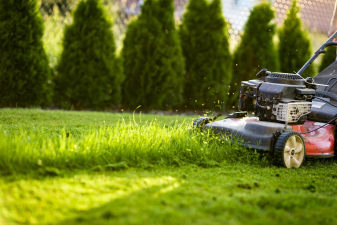 Lawn Maintenance Essentials: Sodding & Fertilizers for a Lush, Healthy Lawn